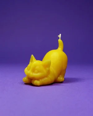 kotek_2 Kotek Lusia – Świeczka Pszczela