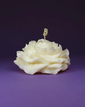 kwiat_piwonii_ozdobna_swieca_sojowa_2 Piwonia Duża – Naturalna Świeca Ozdobna z Wosku Sojowego