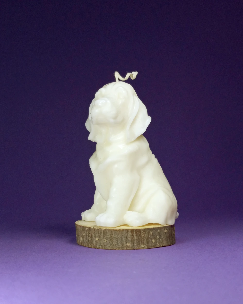 Pies Kajtek – Naturalna Ozdobna Świeca Sojowa - obrazek 4