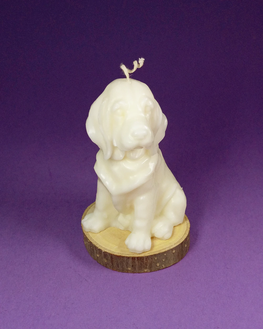 Pies Kajtek – Naturalna Ozdobna Świeca Sojowa