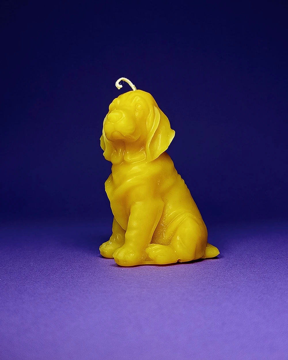 Pies Kajtek – Naturalna Świeca Pszczela