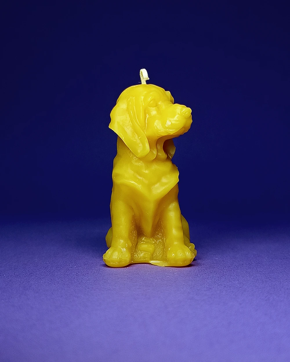 Pies Kajtek – Naturalna Świeca Pszczela - obrazek 2