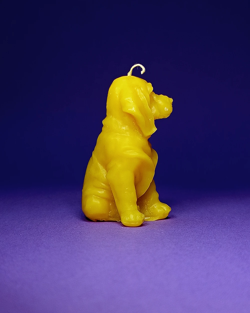 Pies Kajtek – Naturalna Świeca Pszczela - obrazek 3