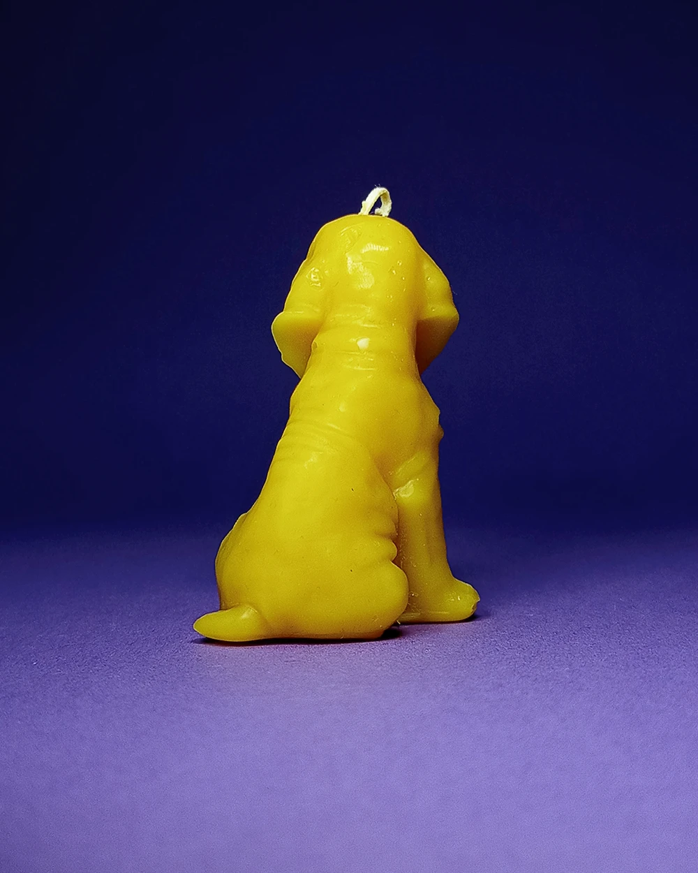 Pies Kajtek – Naturalna Świeca Pszczela - obrazek 4